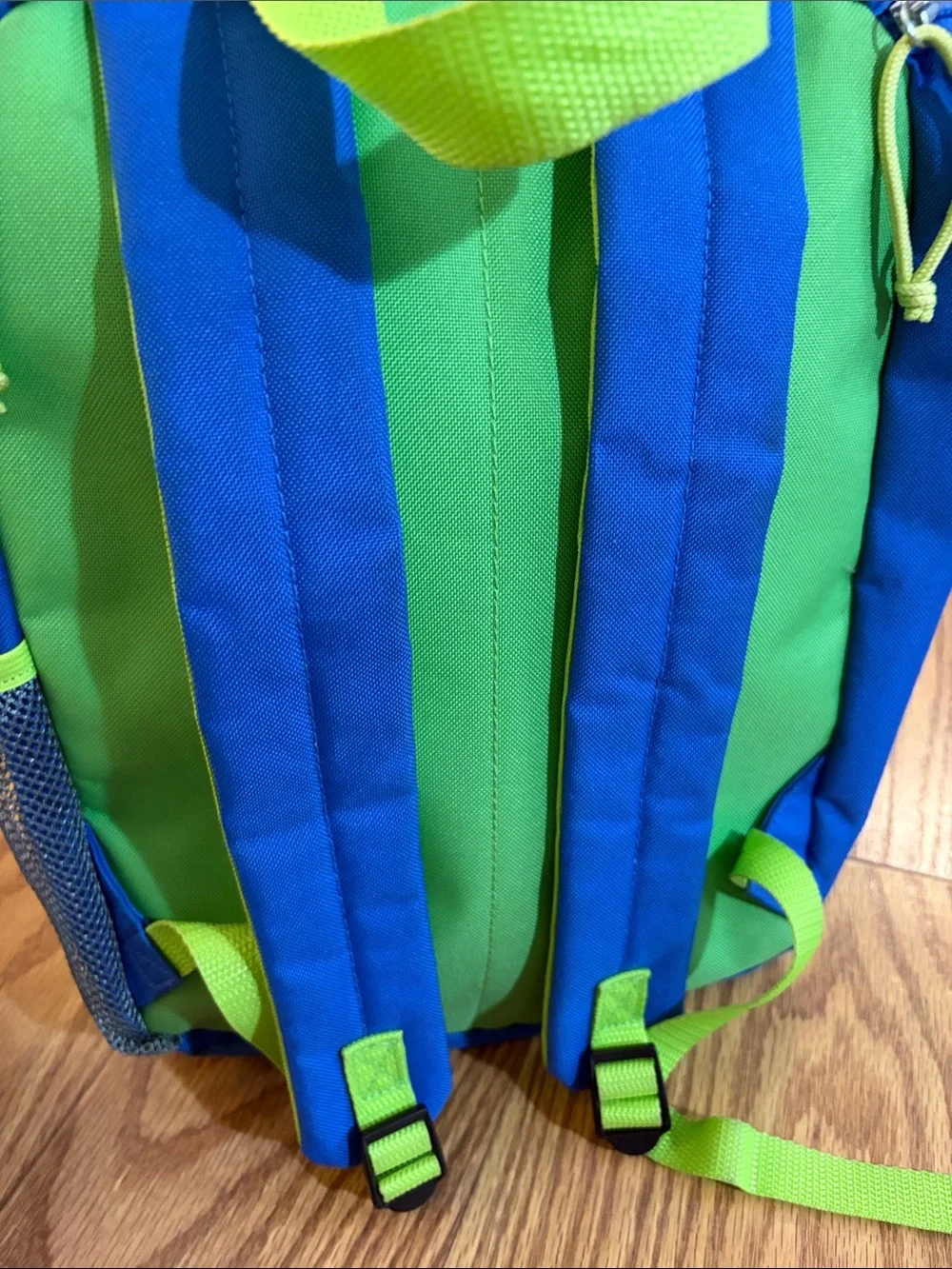 Skip Hop Blue and Green Dino Kids Backpack